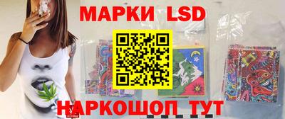 гидропоника Сланцы