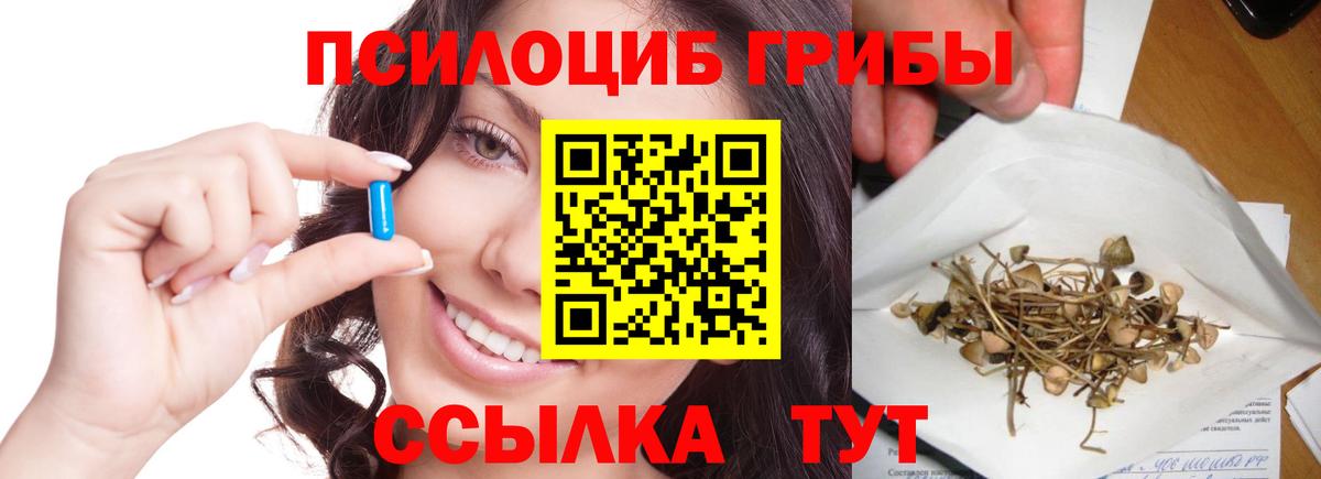 Псилоцибиновые грибы GOLDEN TEACHER Отрадный