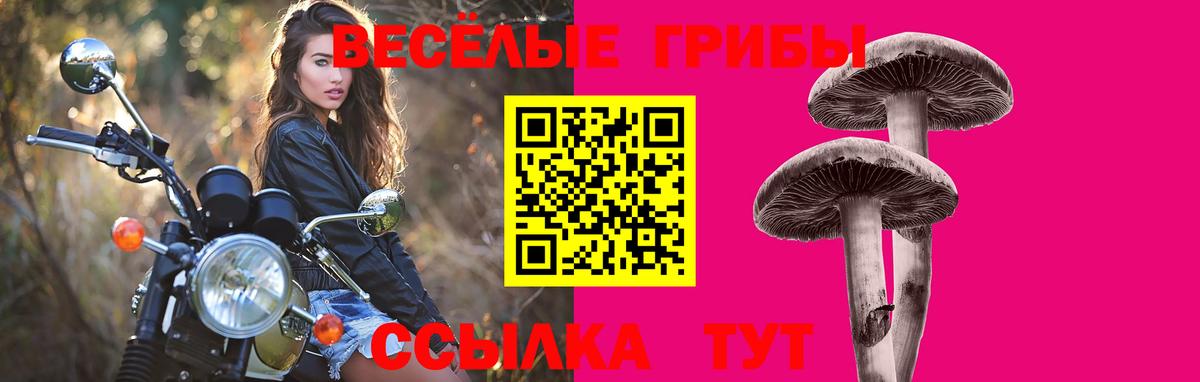 Галлюциногенные грибы мухоморы  Вход с VPN  где купить наркотик  Псилоцибиновые грибы Cubensis  Отрадный 